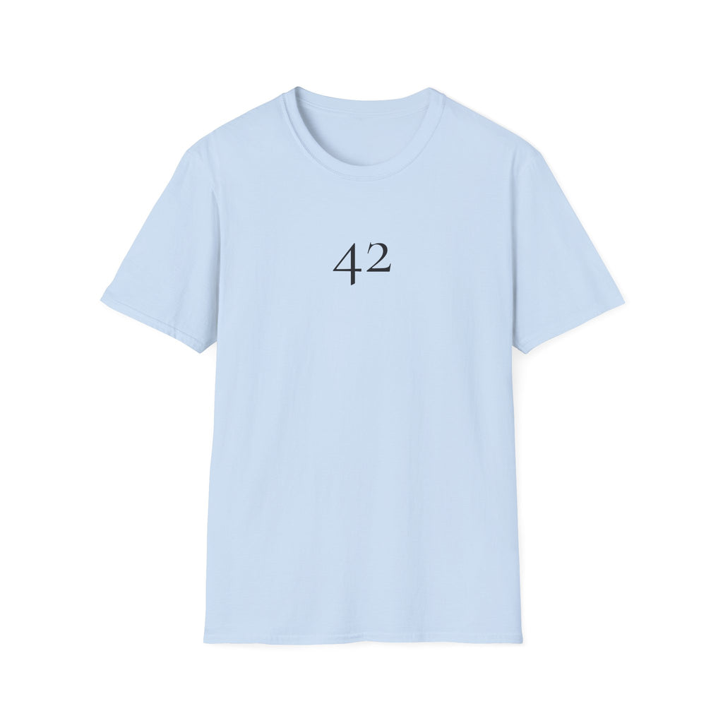 42 The Answer to Everything T-Shirt