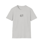 42 The Answer to Everything T-Shirt