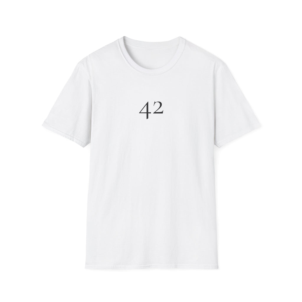42 The Answer to Everything T-Shirt