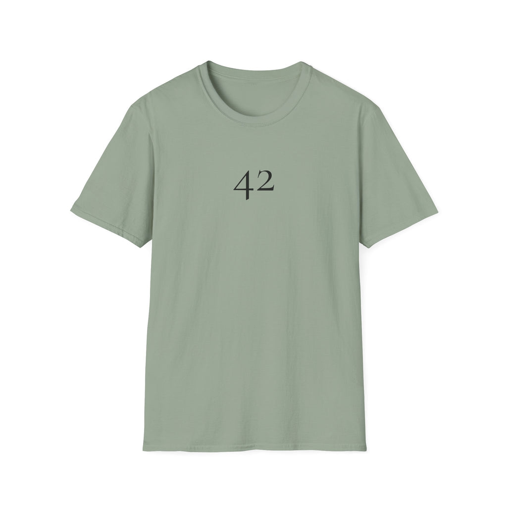 42 The Answer to Everything T-Shirt
