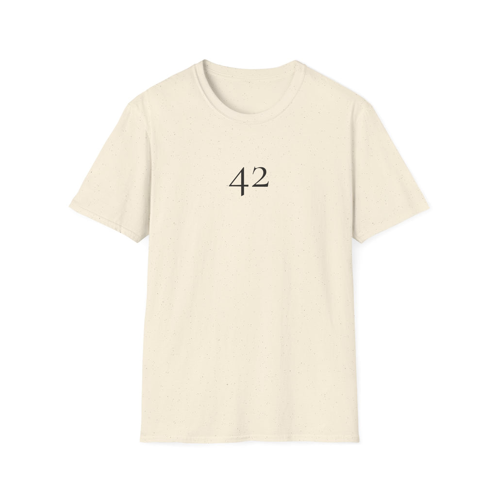 42 The Answer to Everything T-Shirt